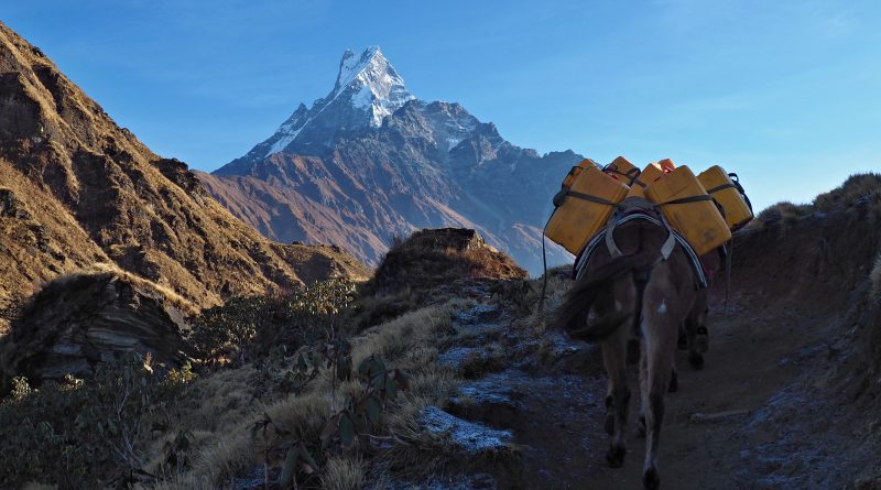 Trek Mardi Himal ( Nepál )          22.4. – 8.5. 2022