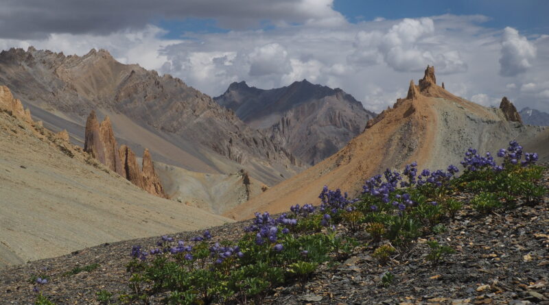 Ladakh (Severní Indie) 8.8. – 22.8. 2026 Ladakh (Severní Indie) 8.8. – 22.8. 2026